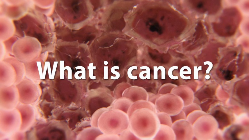 Những thuật ngữ y khoa liên quan đến ung thư bạn cần biết2