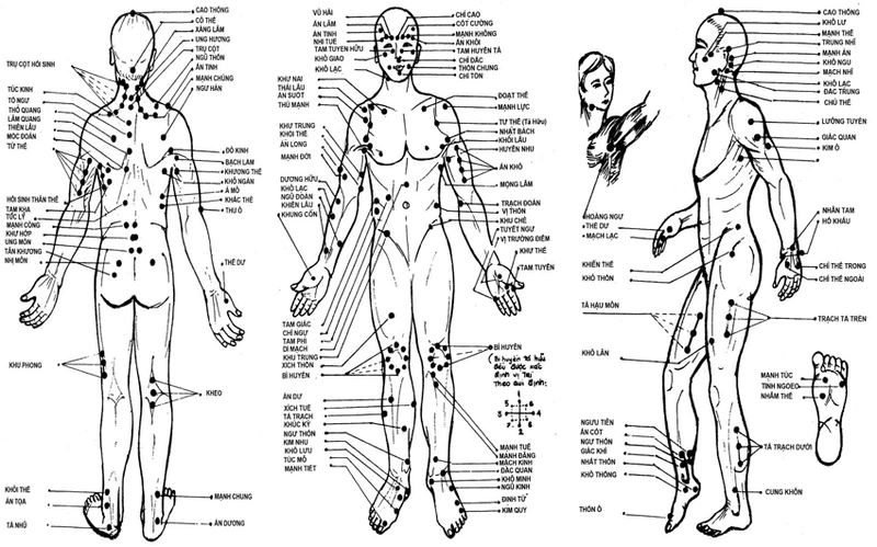 Trên cơ thể con người có vô số huyệt vị, tử huyệt là huyệt vị có thể gây chết người