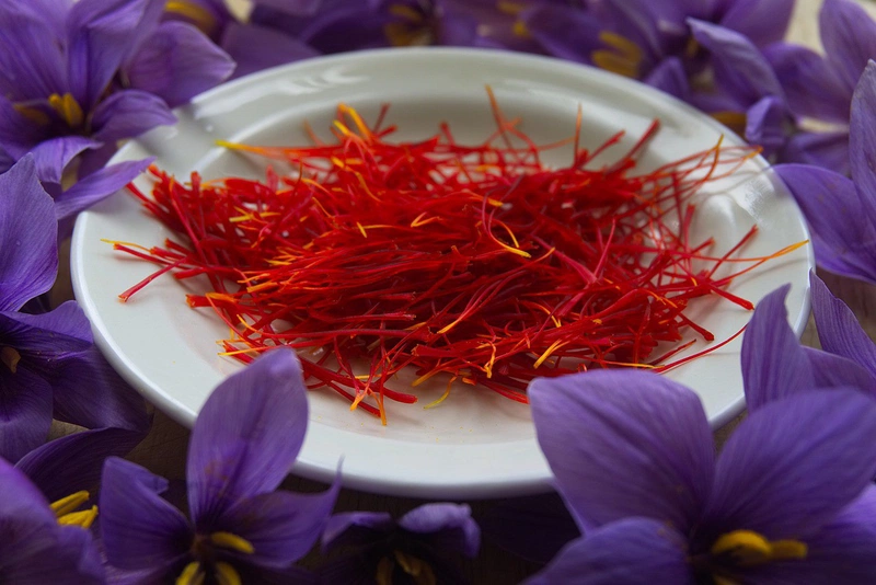 Để đạt hiệu quả tốt nên pha saffron cùng các loại sữa bột, sữa công thức, sữa hạt giúp tăng cân để uống hằng ngày