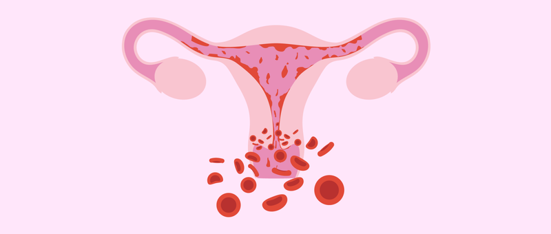 Niêm mạc tử cung dày có ảnh hưởng đến khả năng thụ thai không? 2