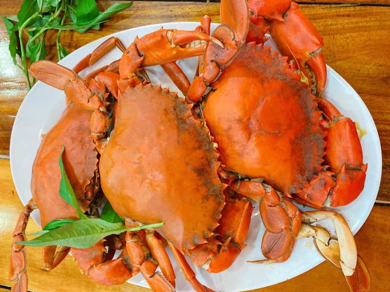 Nổi mề đay sưng môi là bệnh gì? Căn nguyên và cách xử trí 1
