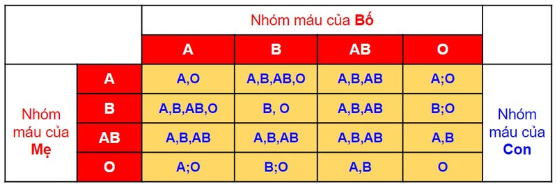 ở người có mấy nhóm máu chính 4