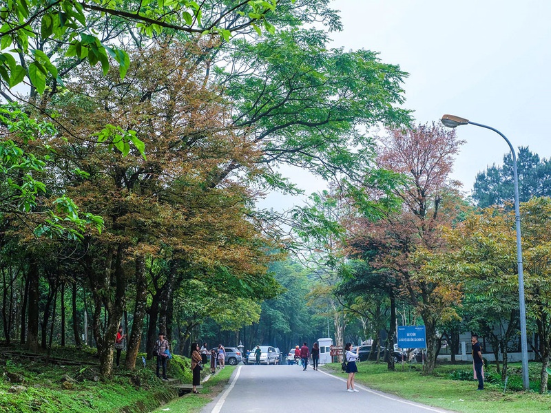 Ô nhiễm không khí đáng báo động tại TP.HCM 4