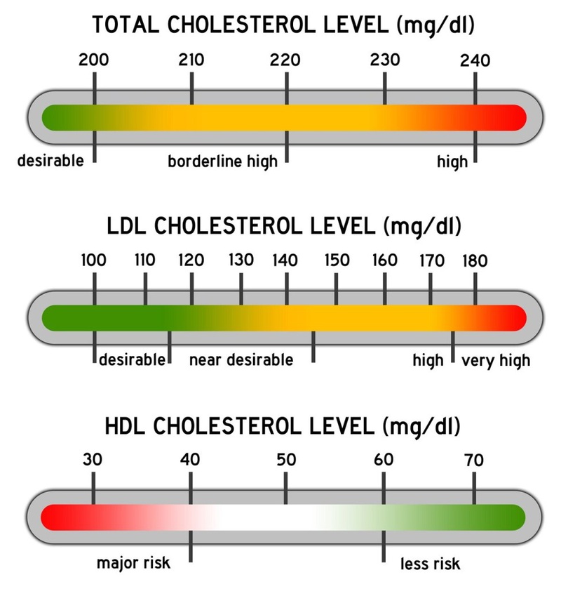 Phân biệt LDL Cholesterol "Cholesterol xấu" và HDL Cholesterol "Cholesterol tốt" 2