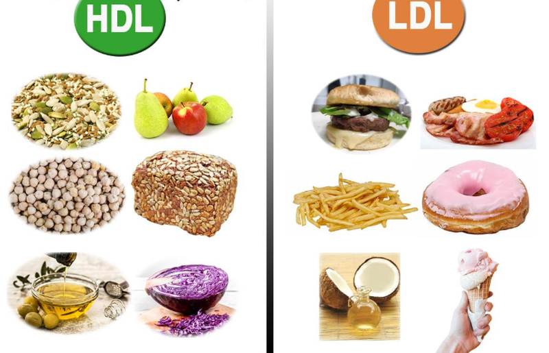 Phân biệt LDL Cholesterol "Cholesterol xấu" và HDL Cholesterol "Cholesterol tốt" 3