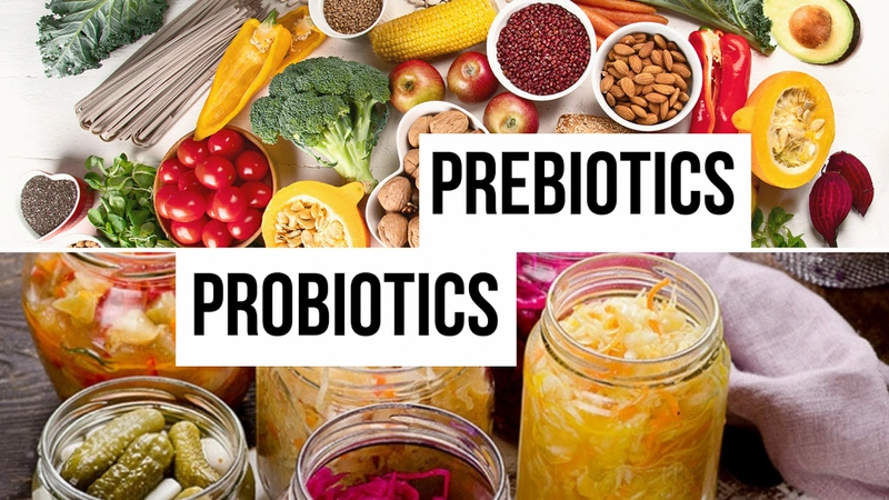 Phân biệt prebiotic và probiotic 1