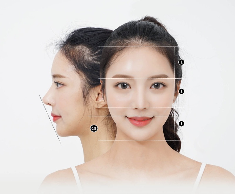 Phân loại độn cằm sụn Hàn Quốc3
