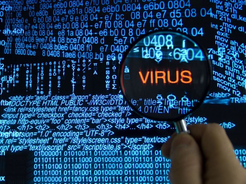 Phát hiện loại virus bí ẩn với bộ gen khủng 3