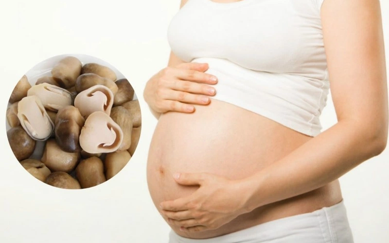 Bà bầu có nên ăn nấm không? Làm sao để bà bầu ăn nấm an toàn? 1