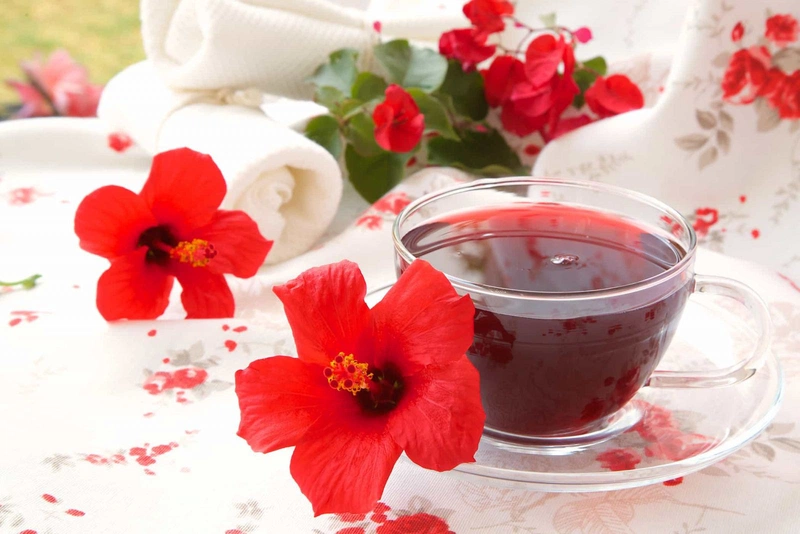 Phương pháp chữa ung thư cổ tử cung bằng thuốc nam hiệu quả 2