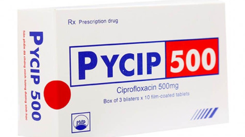 Pycip 500 là thuốc gì? Những lưu ý cần thiết khi sử dụng thuốc Pycip 500 1