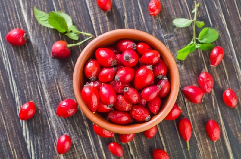 Cây tầm xuân có thể trị đau răng, chữa viêm loét miệng