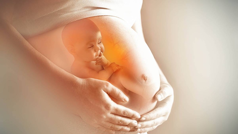 Quá trình thụ thai diễn ra như thế nào và kéo dài trong bao lâu? 1