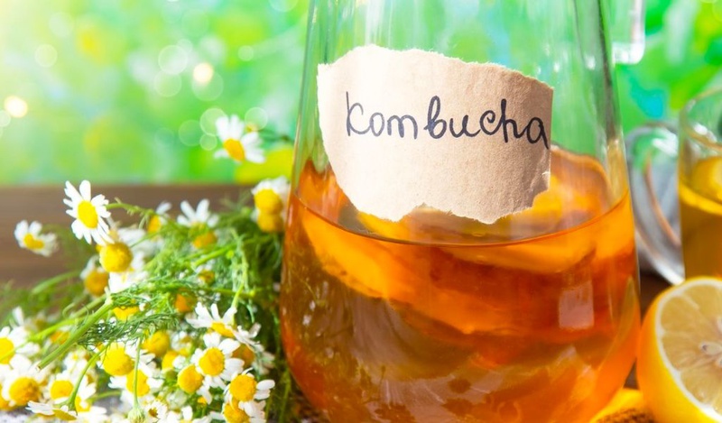 Kombucha là gì - Đây là một loại trà được lên men từ con giống Scoby