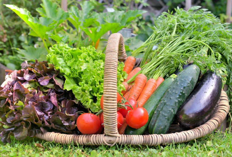 Chế độ ăn uống cho người suy tim cần bổ sung nhiều rau xanh và trái cây tươi.
