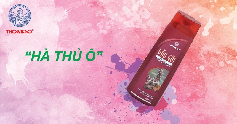 Review dầu gội hà thủ ô Thorakao có tốt không 3