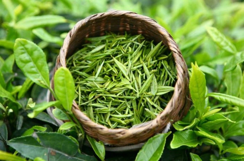 Rơ lưỡi cho trẻ sơ sinh bằng gì tốt? 6 mẹo hiệu quả nhất 4