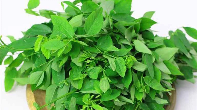 Rơ lưỡi cho trẻ sơ sinh bằng rau ngót, phương pháp dân gian hiệu quả 2