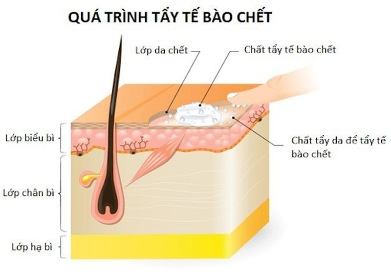 ai lầm thường gặp khi tẩy tế bào chết gây hại cho da 4