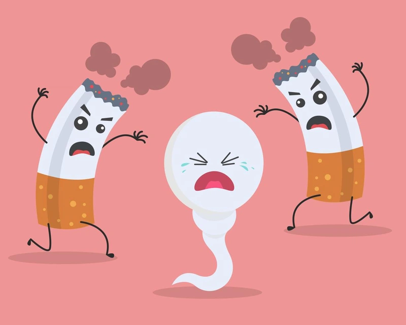 Bỏ hút thuốc lá giúp cải thiện sức khoẻ tinh trùng