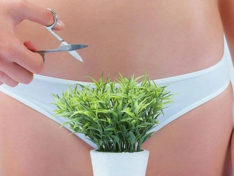 Sau khi cạo lông vùng kín nên làm gì để bảo vệ da hiệu quả? 1