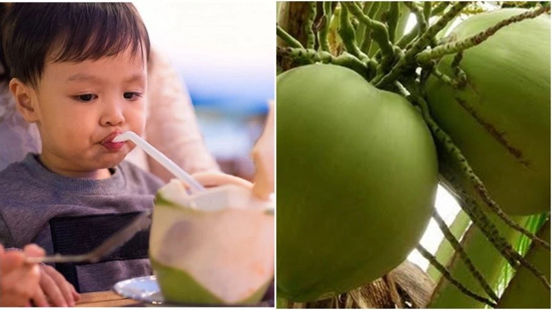 Sau sinh mổ uống nước dừa được không?