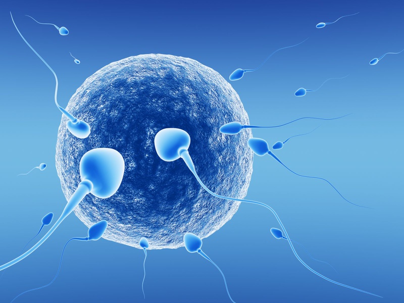 Sinh con – Hỗ trợ sinh sản và các lựa chọn khác sau điều trị ung thư2