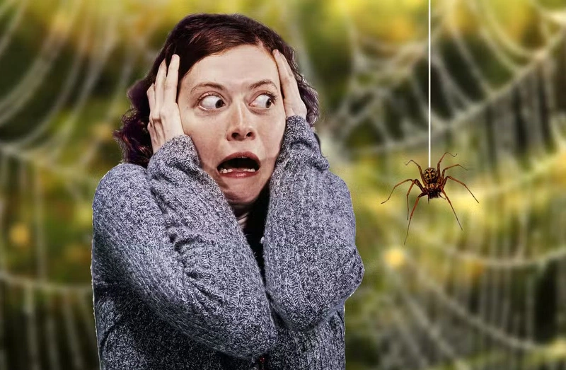 Hội chứng sợ côn trùng: Nguyên nhân, biểu hiện và cách điều trị 1