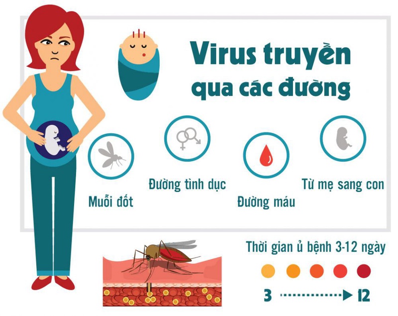 Sốt zika là gì? Cách phân biệt sốt zika với sốt xuất huyết