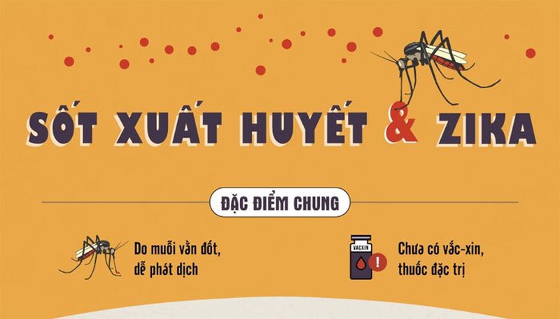 Sốt zika là gì? Cách phân biệt sốt zika với sốt xuất huyết