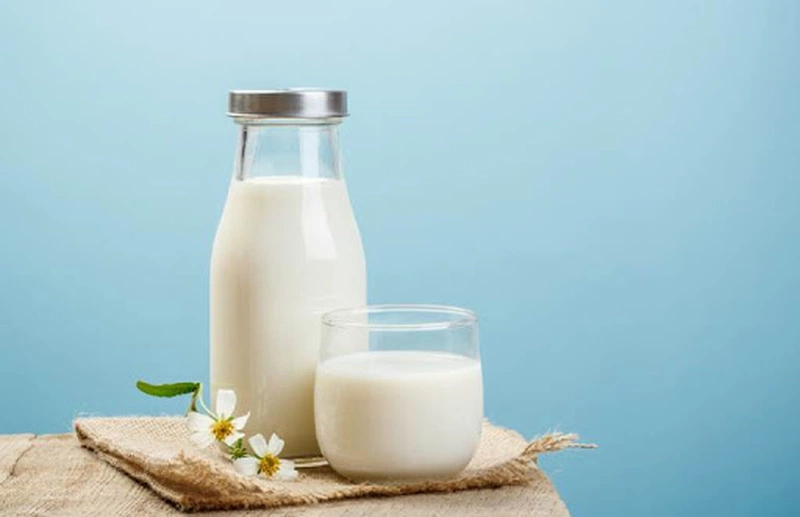 Các loại sữa dành cho người bệnh gout bạn cần biết