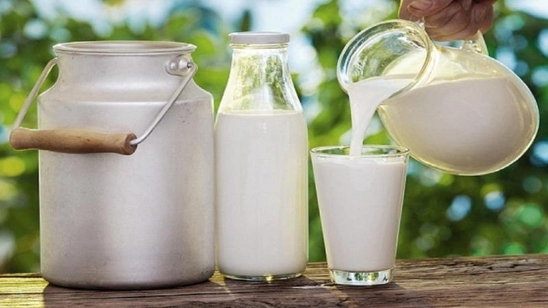 Sữa tách béo: Dinh dưỡng đầy đủ không sợ tăng cân 2