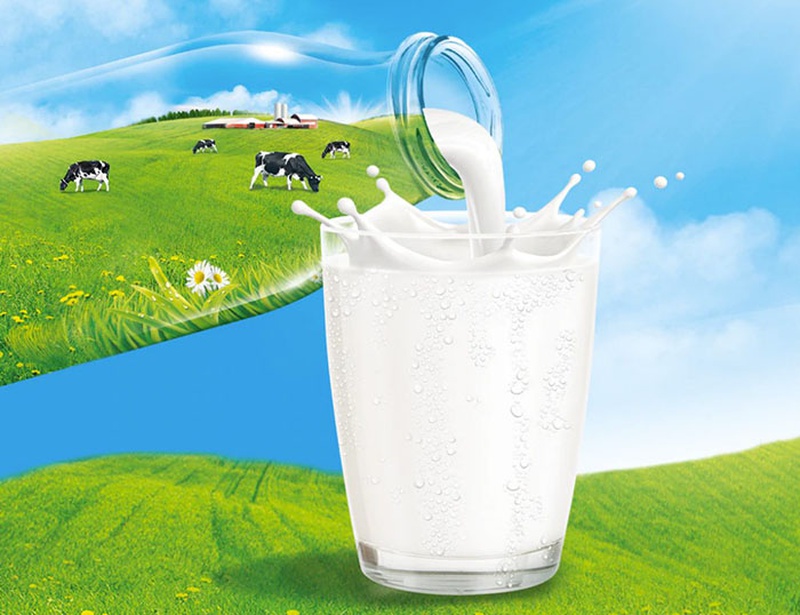 Sữa - Thực phẩm vàng trong dinh dưỡng hằng ngày cho trẻ 1