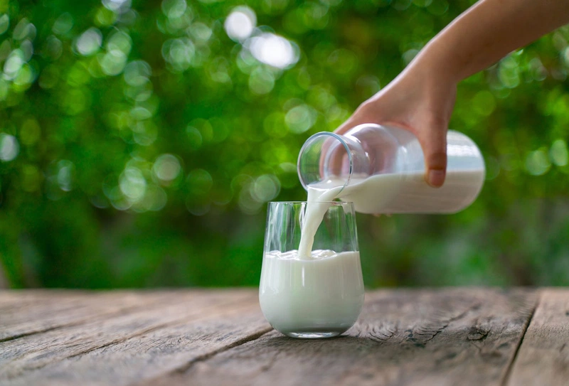 Sữa tươi tắn ko đàng từng nào năng lượng Uống nhiều sở hữu mập ko 2