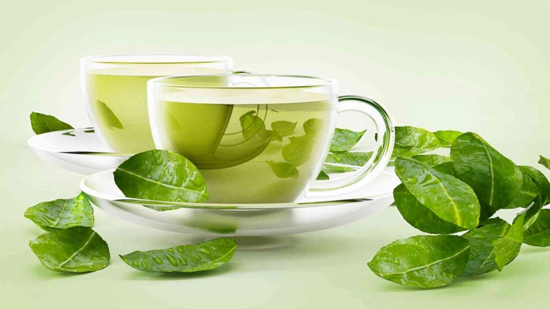 Tác dụng của lá vối đối với sức khỏe con người