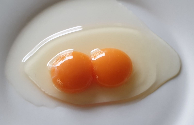 Theo một số nghiên cứu, các chuyên gia kết luận rằng không nên lạm dụng lòng đỏ trứng gà, hãy ăn một lượng vừa đủ