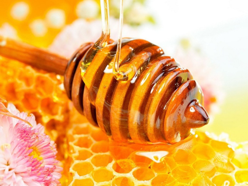 5 tác dụng của mật ong trong phòng và điều trị bệnh 1