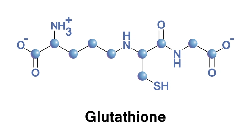 Tác dụng của N-Acetyl Cysteine đối với sức khỏe 2