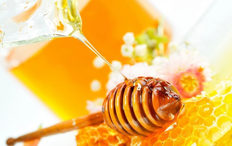 Tác dụng thần kì của nấm linh chi pha mật ong với sức khỏe - Nhà ...