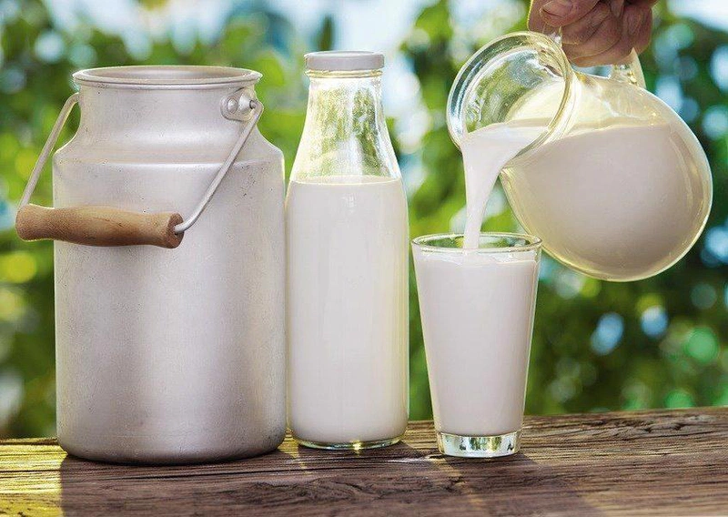 Không nên dùng sữa tươi tách béo để làm sữa chua Hy Lạp