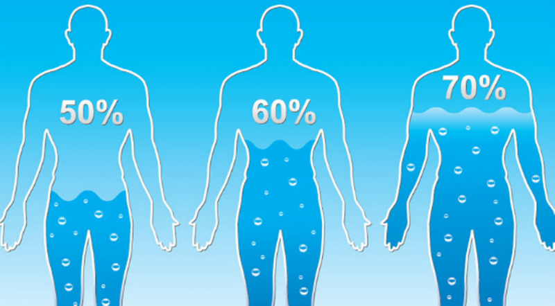70% cơ thể chúng ta là nước, vì vậy cần cố gắng nạp đủ lượng nước để có thể duy trì sức khỏe tốt
