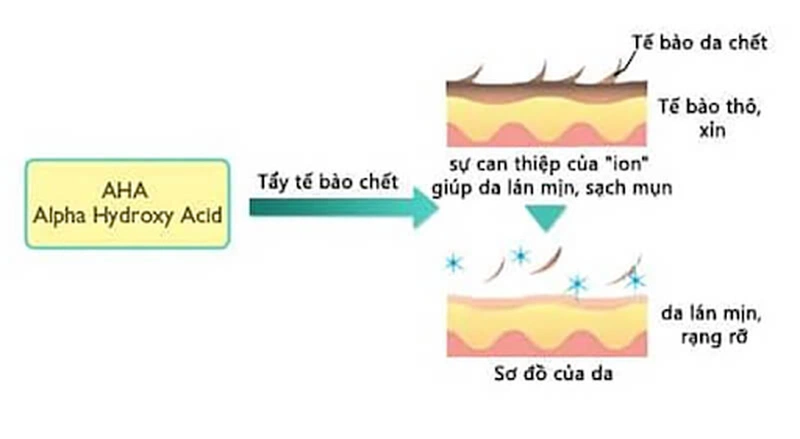 Tẩy da chết AHA hoạt động như thế nào trên da 3