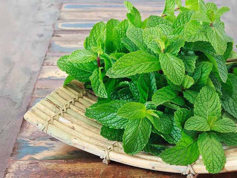 Tẩy tế bào chết - Bí kíp đánh bay mụn ở lưng nhanh và hiệu quả 6
