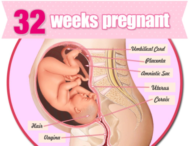 Thai 32 tuần phát triển như thế nào? Một số điều mẹ bầu cần lưu ý khi mang thai 32 tuần 3
