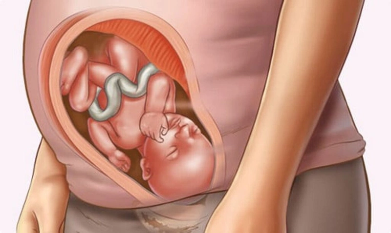 Thai 32 tuần phát triển như thế nào? Một số điều mẹ bầu cần lưu ý khi mang thai 32 tuần 4