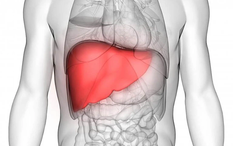 Thải độc gan: Viên uống HENRY BLOOMS LIVER DETOX 1-a-day 60V 1