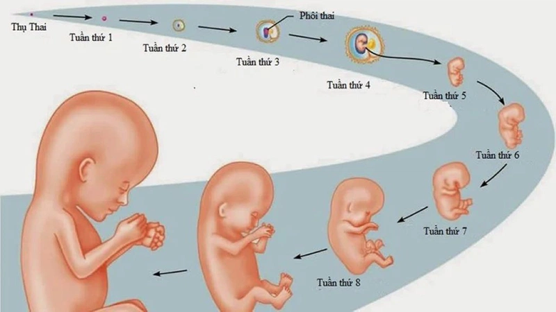 Con Máy Là Gì? Khám Phá Tất Tần Tật Về Côn Xe Máy