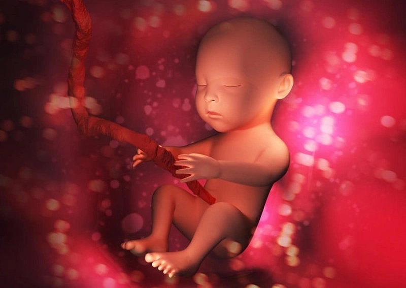 Thai nhi đạp nhiều vào ban đêm: Con muốn nói với mẹ điều gì? 1
