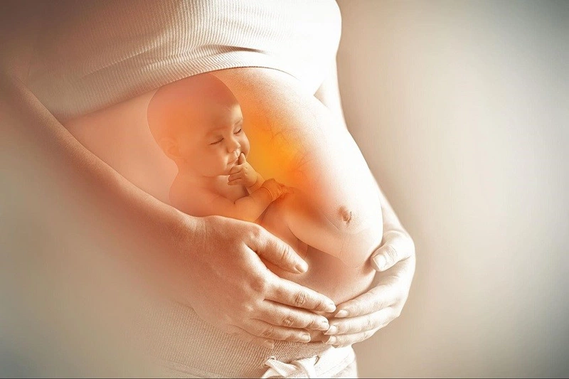Thai nhi đạp nhiều vào ban đêm: Con muốn nói với mẹ điều gì? 2