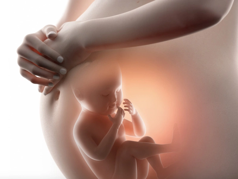 Thai nhi đạp nhiều vào tháng cuối khiến mẹ lo lắng, nguyên nhân vì sao? 1